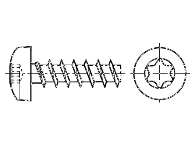 Schroef; 4x12; Kop: cilinder; Torx®; TX20; gehard staal; Koph: 3,1mm Schroef; 4x12; Kop: cilinder; Torx®; TX20; gehard staal; Koph: 3,1mm